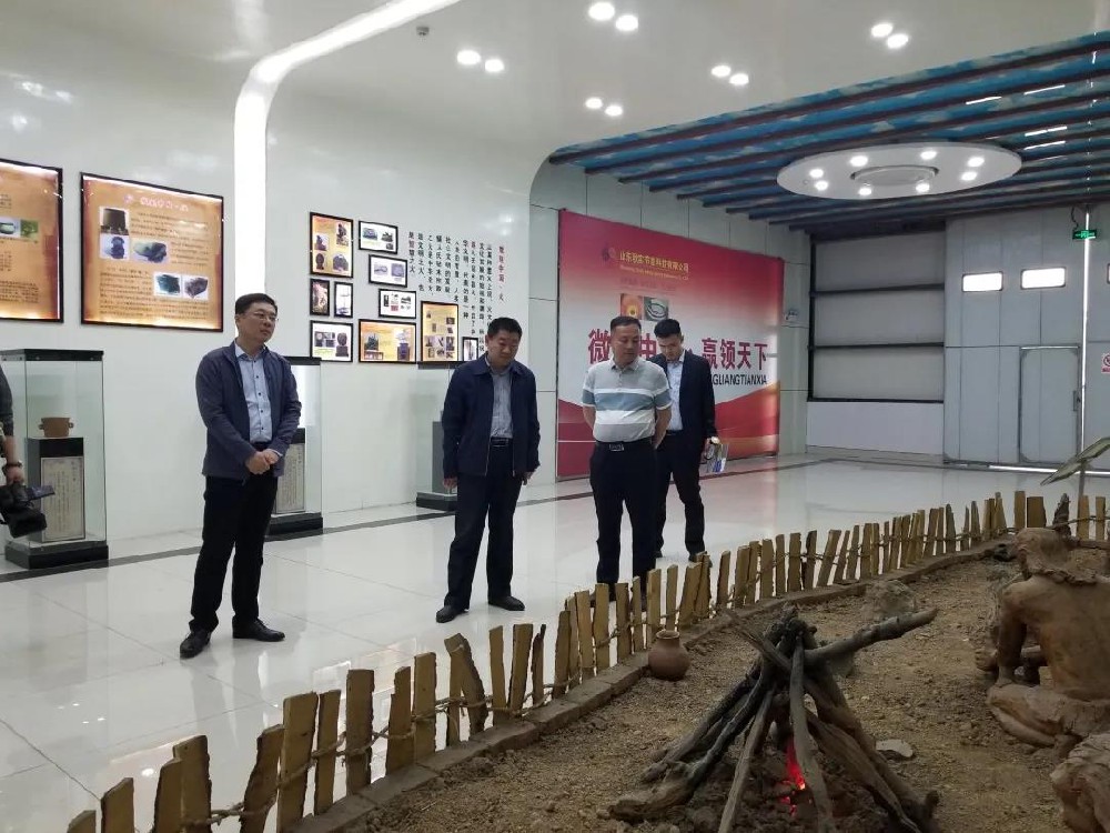 東營市河口區(qū)工信局楊學剛局長一行來公司參觀考察